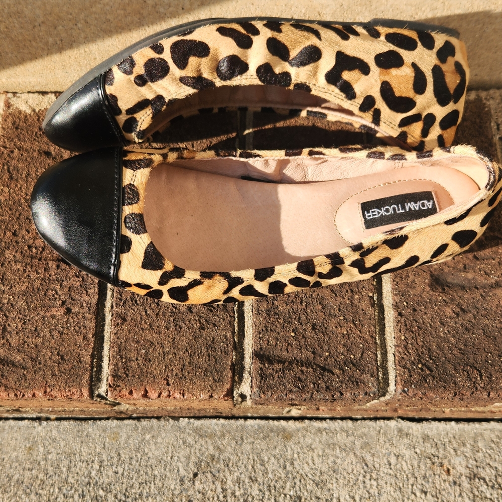 Adam Tucker Leopard-Print Flats with Black Cap Toe - Picture 4 of 8